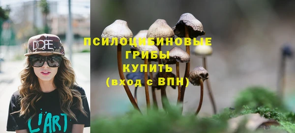 крисы Абдулино