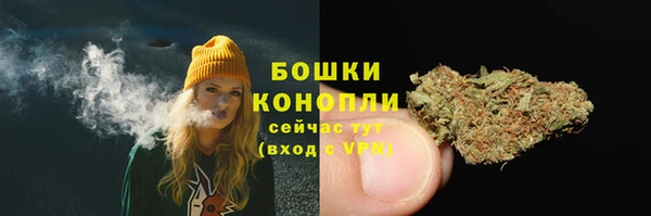 крисы Абдулино