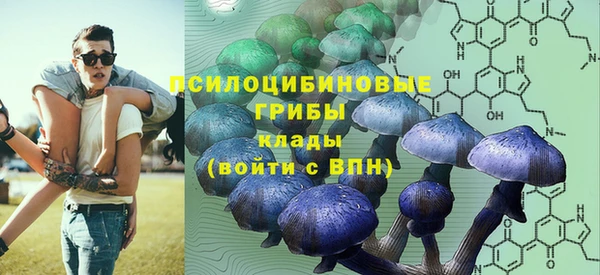 крисы Абдулино
